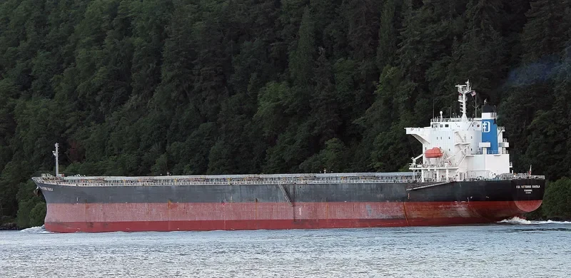 MAGIC HORIZON Bulk Carrier IMO 9553062 photo 3