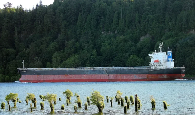 MAGIC HORIZON Bulk Carrier IMO 9553062 photo 4