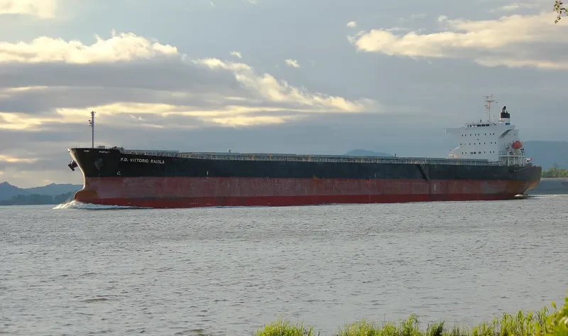 MAGIC HORIZON Bulk Carrier IMO 9553062 photo 5