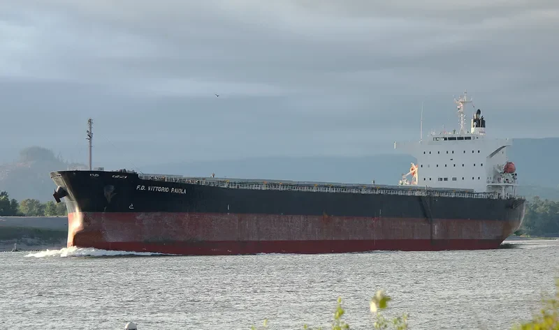 MAGIC HORIZON Bulk Carrier IMO 9553062 photo 6