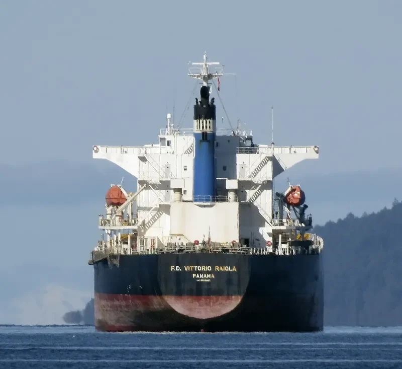 MAGIC HORIZON Bulk Carrier IMO 9553062 photo 7