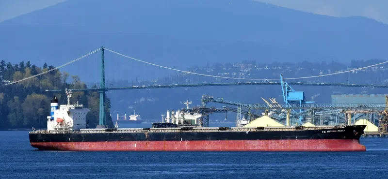 MAGIC HORIZON Bulk Carrier IMO 9553062 photo 8