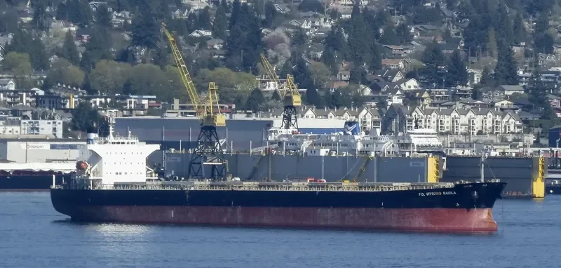 MAGIC HORIZON Bulk Carrier IMO 9553062 photo 9