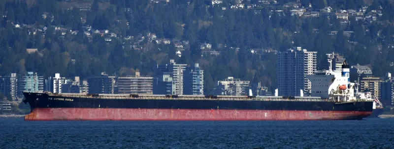 MAGIC HORIZON Bulk Carrier IMO 9553062 photo 10