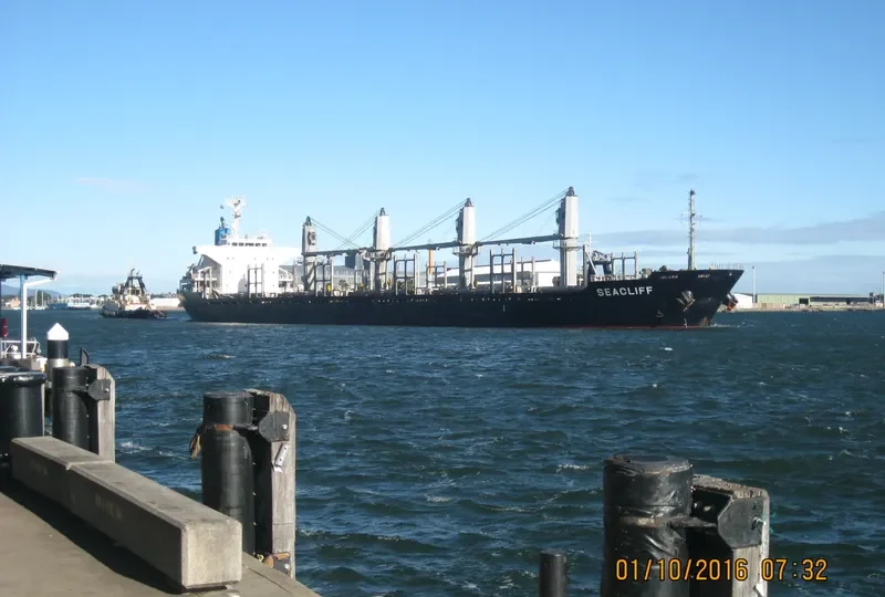 LUCKY RIVER Bulk Carrier IMO 9553139 photo 2