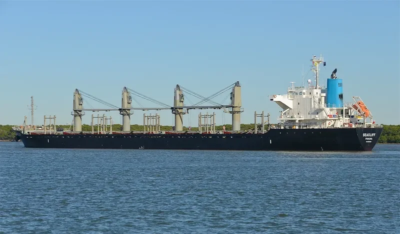 LUCKY RIVER Bulk Carrier IMO 9553139 photo 5