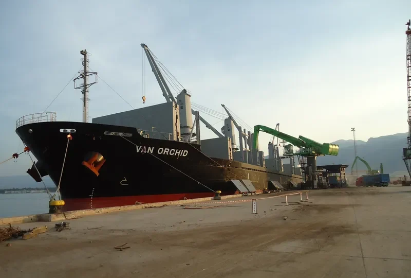 APOGEE ENDEAVOUR Bulk Carrier IMO 9553141 photo 5