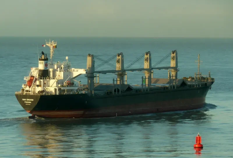 APOGEE ENDEAVOUR Bulk Carrier IMO 9553141 photo 8