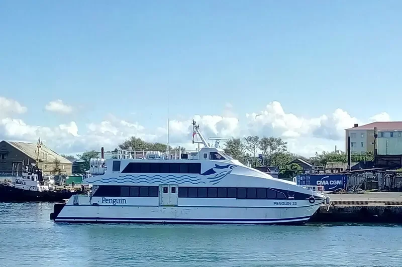 FIRST QUEEN Passenger Ship IMO 9553191 photo 5