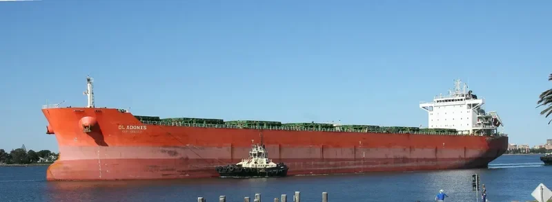 DL ADONIS Bulk Carrier IMO 9553206