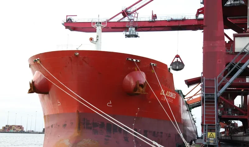 DL ADONIS Bulk Carrier IMO 9553206 photo 6