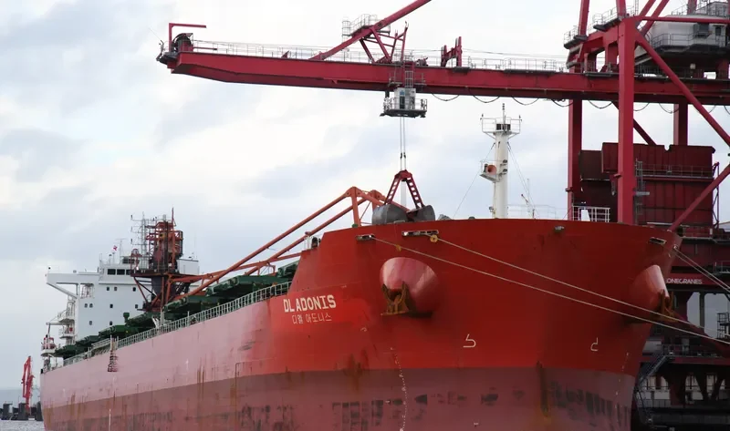 DL ADONIS Bulk Carrier IMO 9553206 photo 7