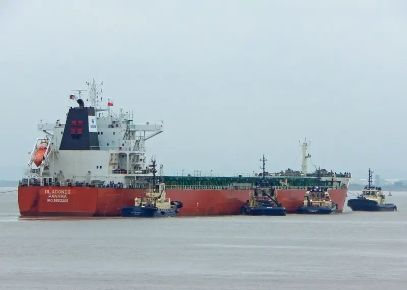 DL ADONIS Bulk Carrier IMO 9553206 photo 9