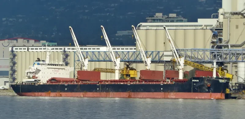 PANAGIA KORONA Bulk Carrier IMO 9553232 photo 3