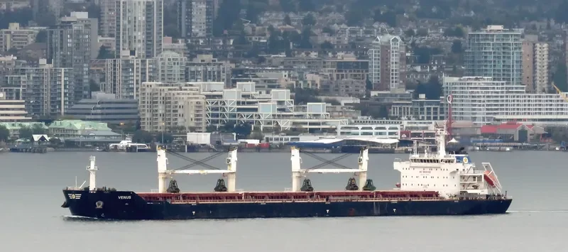 PANAGIA KORONA Bulk Carrier IMO 9553232 photo 4