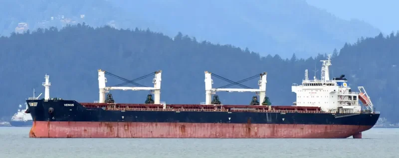PANAGIA KORONA Bulk Carrier IMO 9553232 photo 5