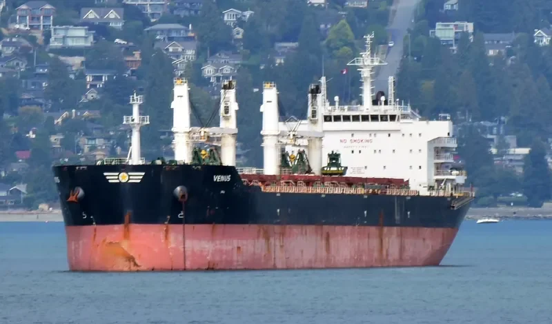 PANAGIA KORONA Bulk Carrier IMO 9553232 photo 6
