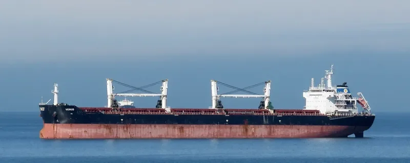 PANAGIA KORONA Bulk Carrier IMO 9553232 photo 7