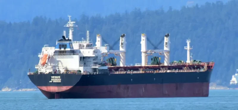 PANAGIA KORONA Bulk Carrier IMO 9553232 photo 8