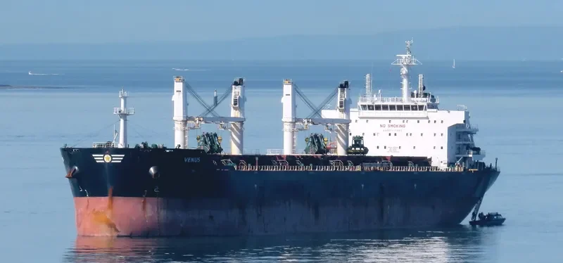 PANAGIA KORONA Bulk Carrier IMO 9553232 photo 9