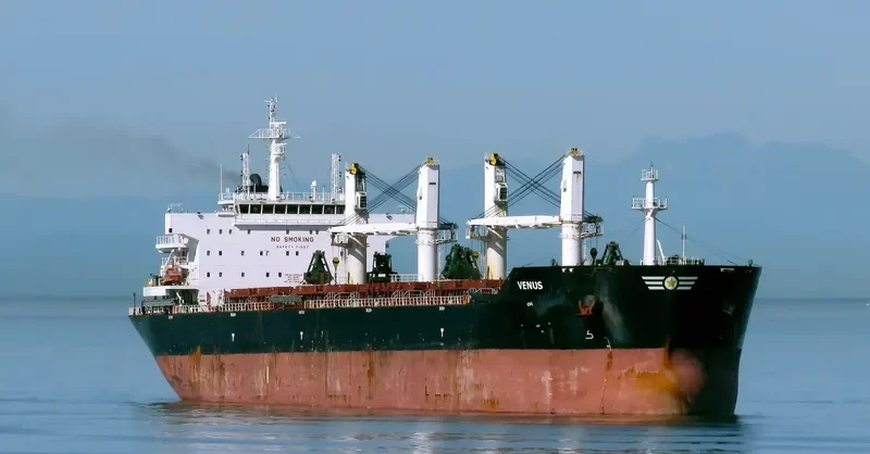 PANAGIA KORONA Bulk Carrier IMO 9553232 photo 10