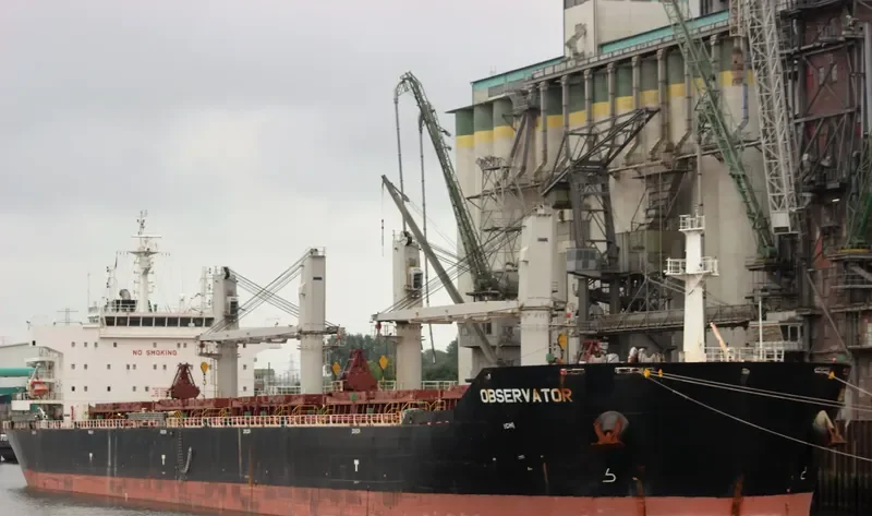 OBSERVATOR Bulk Carrier IMO 9553244 photo 3