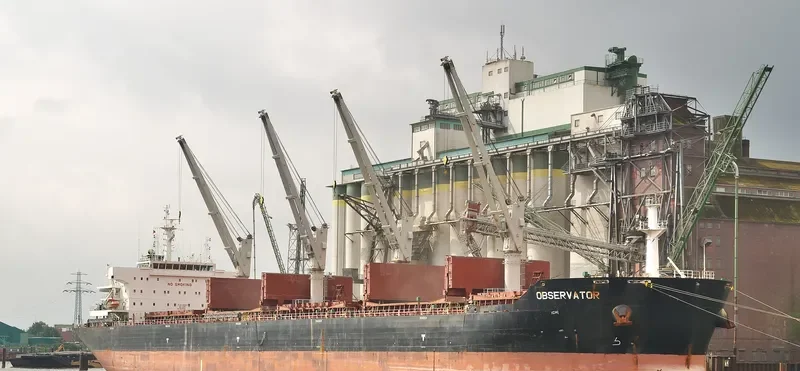 OBSERVATOR Bulk Carrier IMO 9553244 photo 5