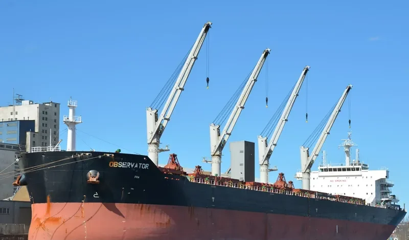 OBSERVATOR Bulk Carrier IMO 9553244 photo 8