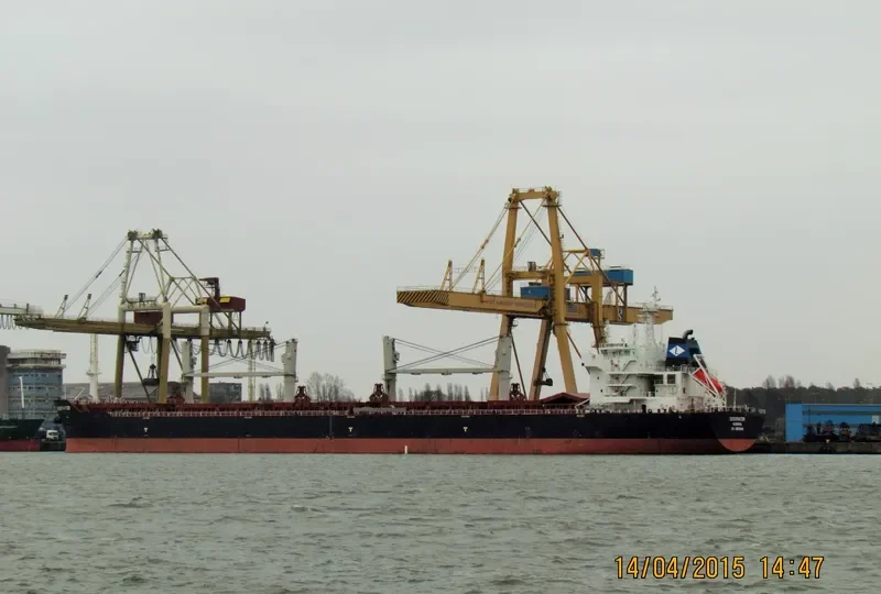 OBSERVATOR Bulk Carrier IMO 9553244 photo 9
