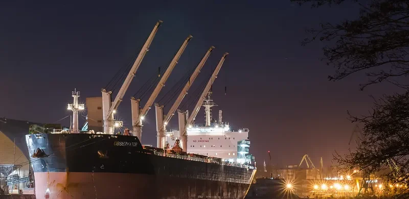 OBSERVATOR Bulk Carrier IMO 9553244 photo 10