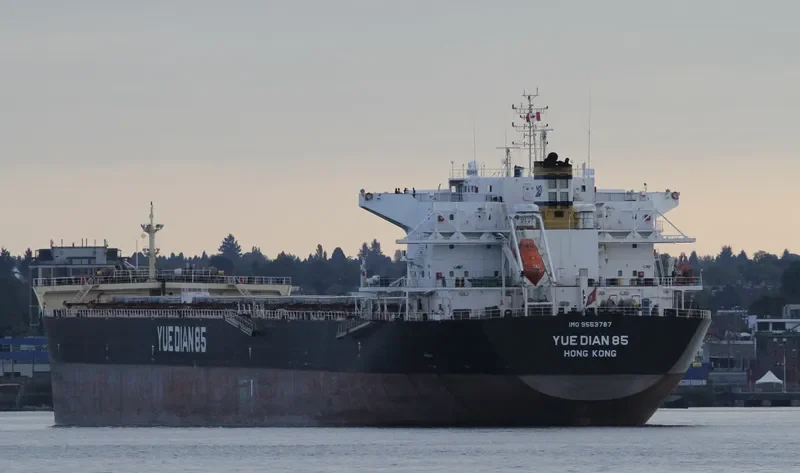 YUE DIAN 85 Bulk Carrier IMO 9553787 photo 2