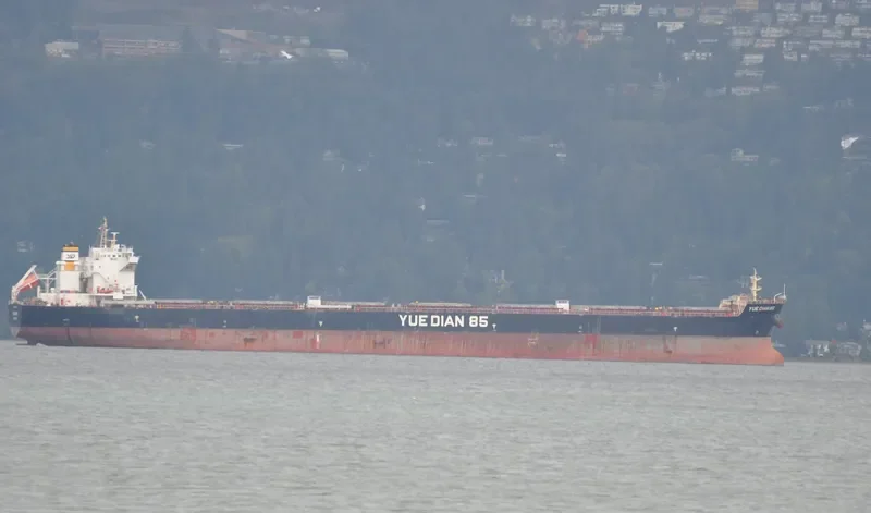 YUE DIAN 85 Bulk Carrier IMO 9553787 photo 3