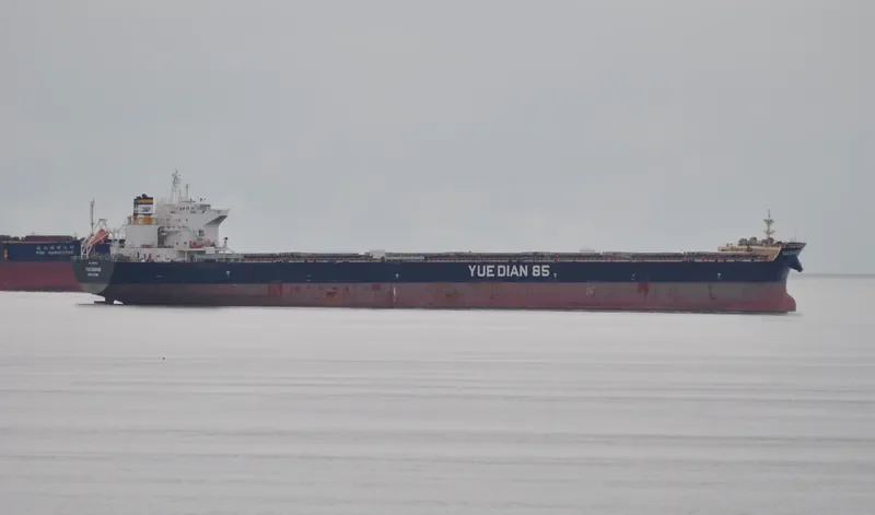 YUE DIAN 85 Bulk Carrier IMO 9553787 photo 4