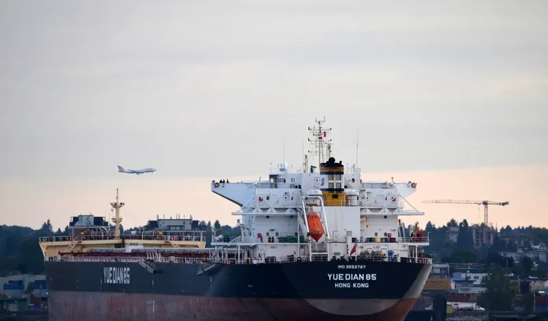 YUE DIAN 85 Bulk Carrier IMO 9553787 photo 6