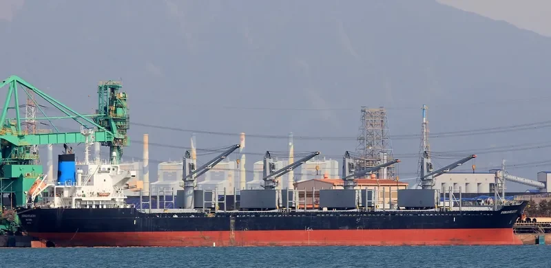 GANT GRACE Bulk Carrier IMO 9553804