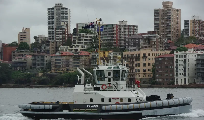 ELWING General Cargo IMO 9553919 photo 8