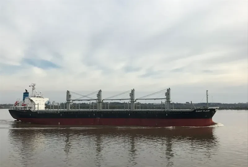 GANT FLAIR Bulk Carrier IMO 9554066
