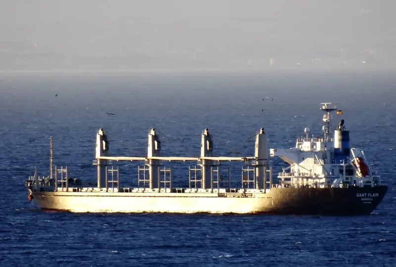 GANT FLAIR Bulk Carrier IMO 9554066 photo 2