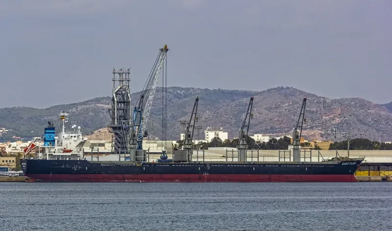 GANT FLAIR Bulk Carrier IMO 9554066 photo 5