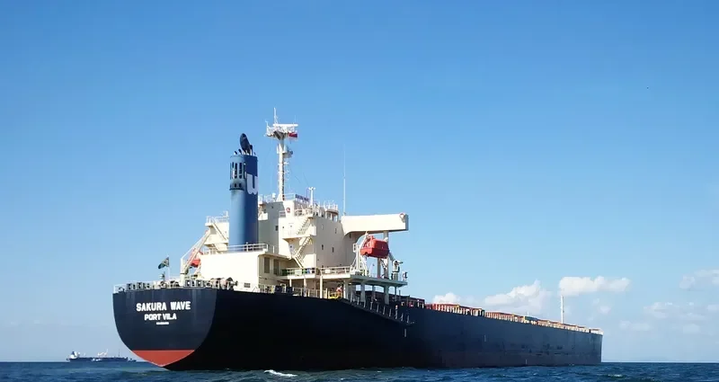 SAKURA WAVE Bulk Carrier IMO 9554183