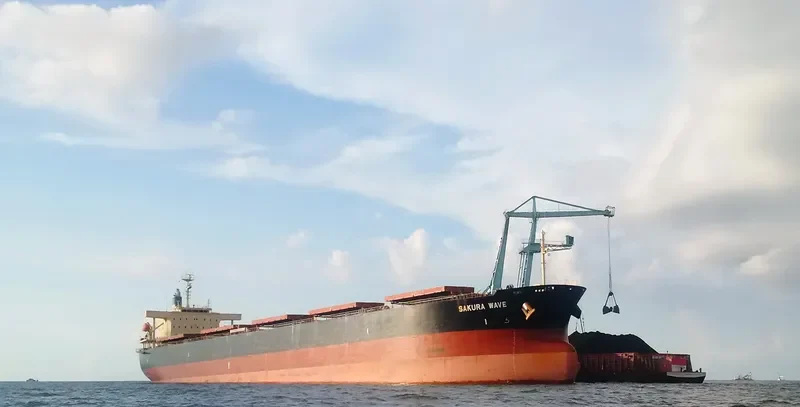 SAKURA WAVE Bulk Carrier IMO 9554183 photo 2