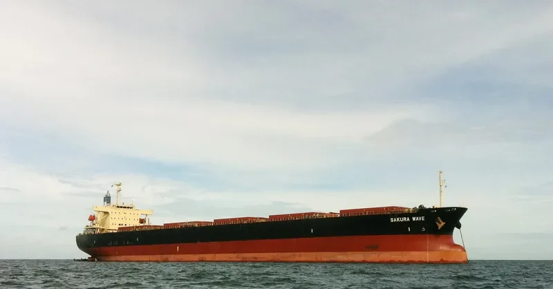 SAKURA WAVE Bulk Carrier IMO 9554183 photo 3