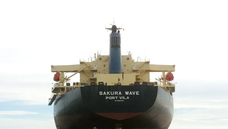 SAKURA WAVE Bulk Carrier IMO 9554183 photo 4