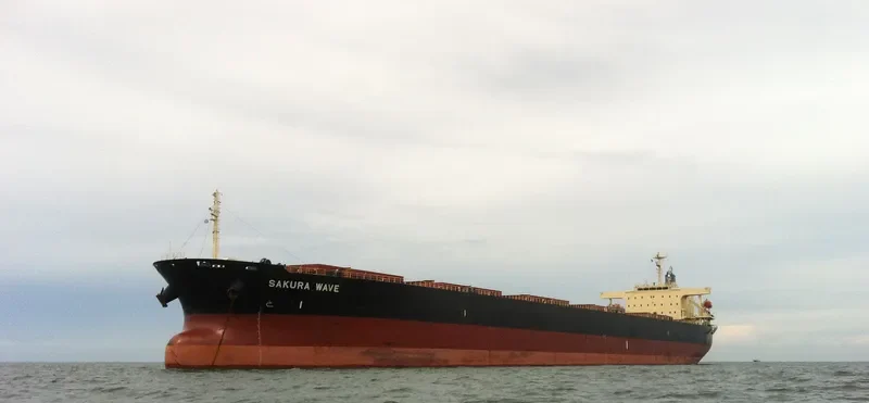 SAKURA WAVE Bulk Carrier IMO 9554183 photo 7