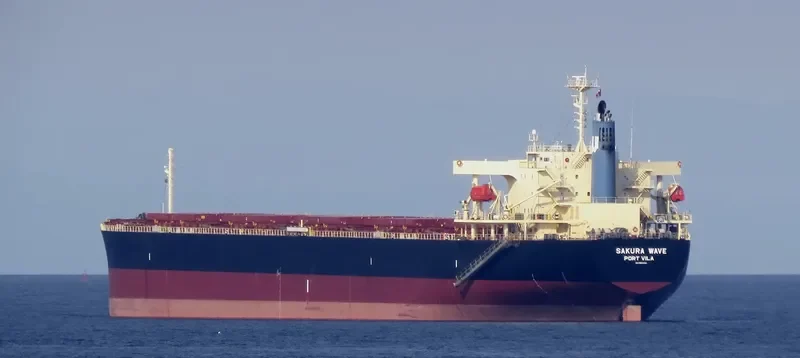 SAKURA WAVE Bulk Carrier IMO 9554183 photo 8