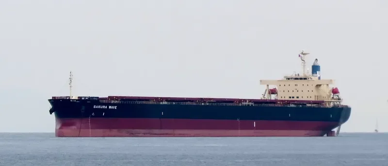 SAKURA WAVE Bulk Carrier IMO 9554183 photo 9