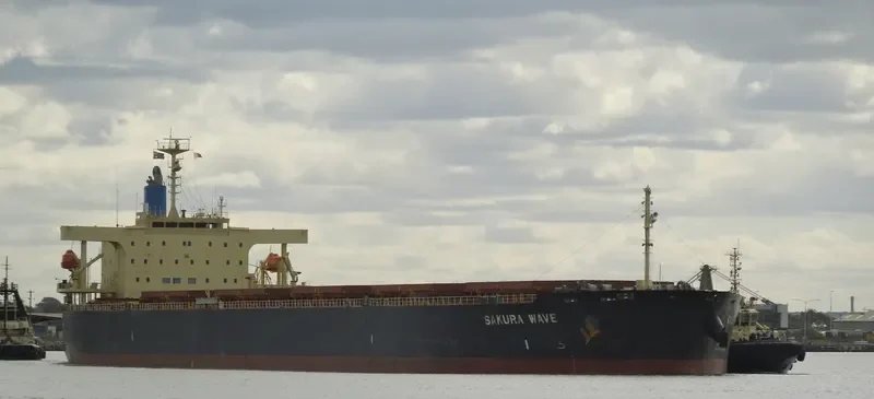 SAKURA WAVE Bulk Carrier IMO 9554183 photo 10