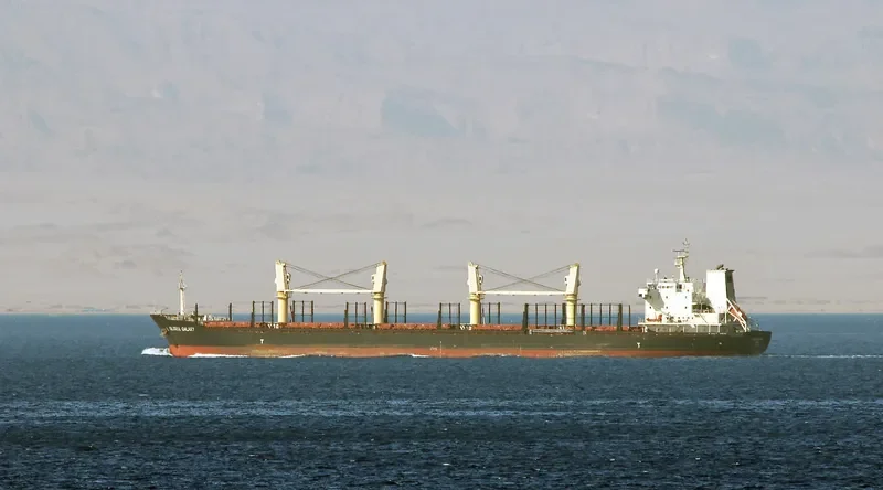 HPC FUTURE Bulk Carrier IMO 9554212