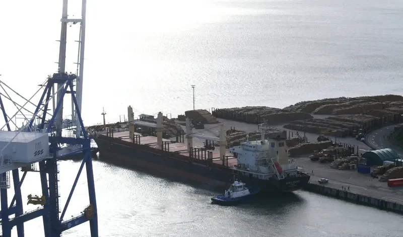 HPC FUTURE Bulk Carrier IMO 9554212 photo 2
