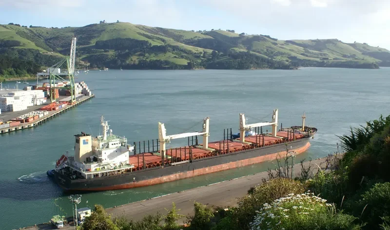 HPC FUTURE Bulk Carrier IMO 9554212 photo 3